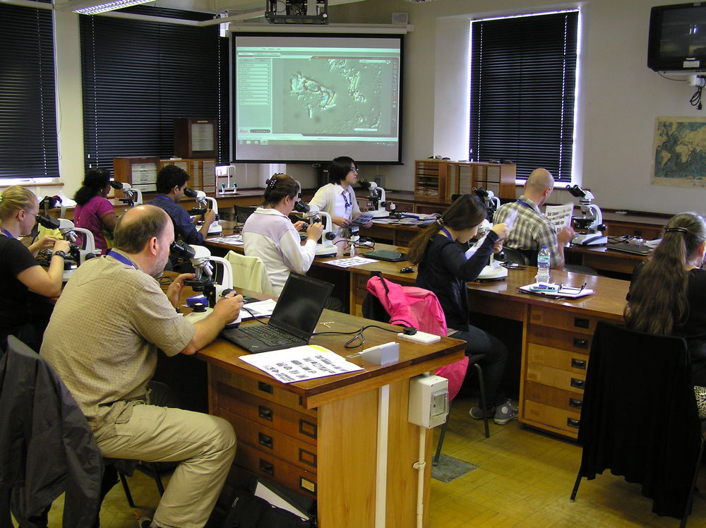 2013 Microscope-based taxonomy session