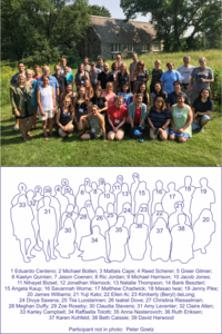 Participants